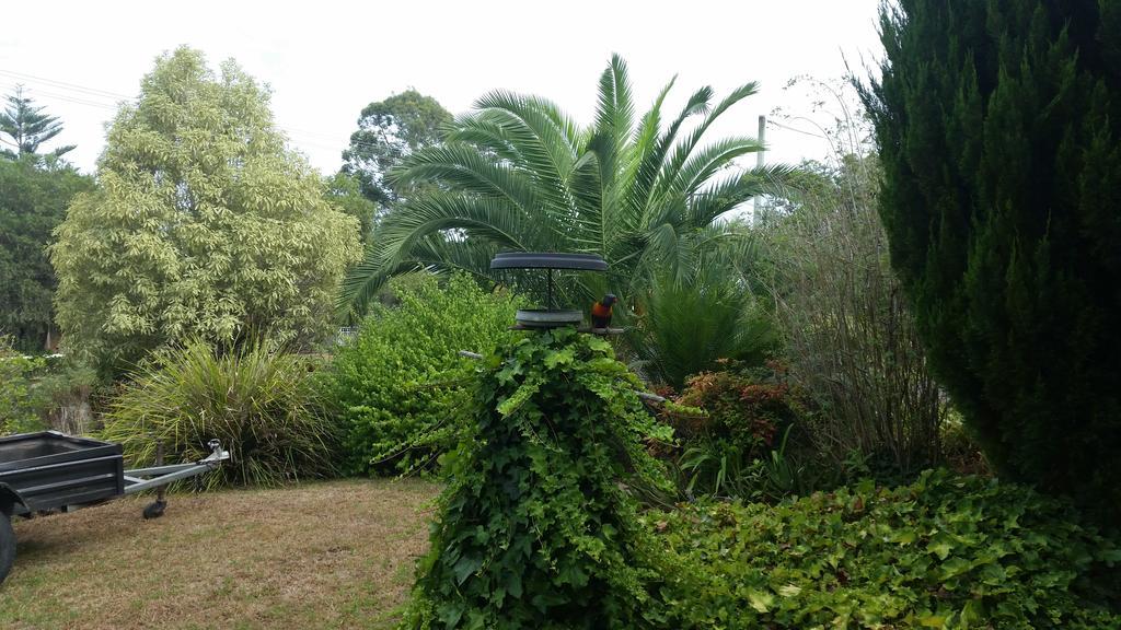 Cottage By The Bay, Pet Friendly Batemans Bay Exterior photo